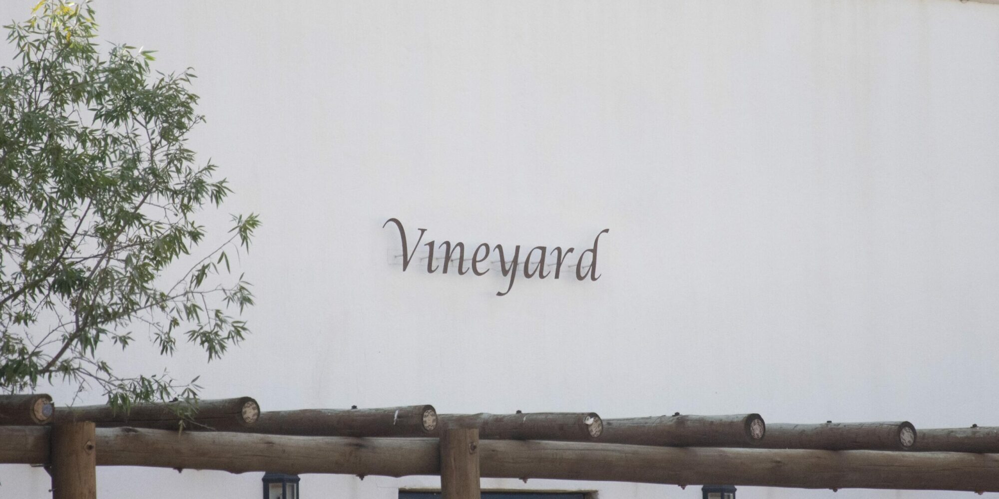 Vineyard